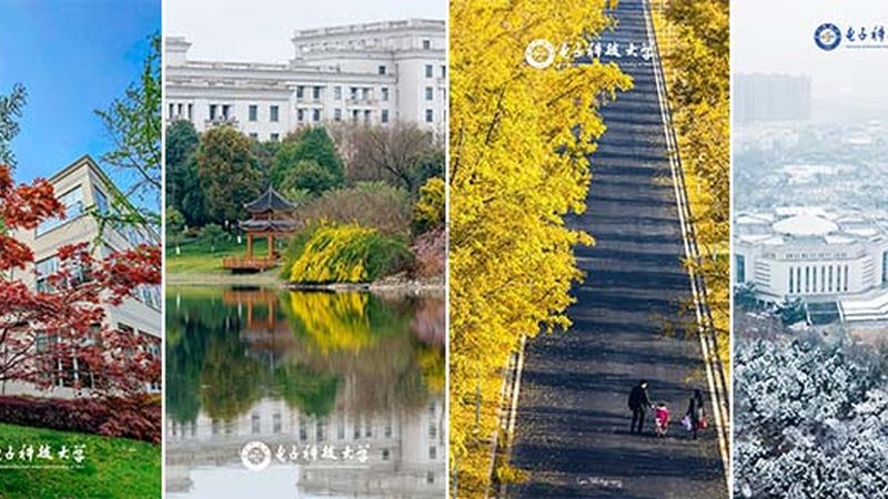 电源模块型号规格对照：如何准确解读与选型