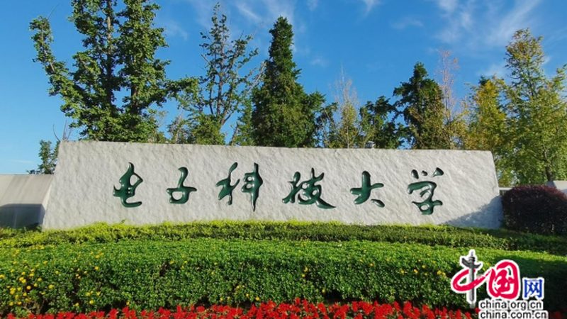 电子元件正品与散新：价格差异背后的真相