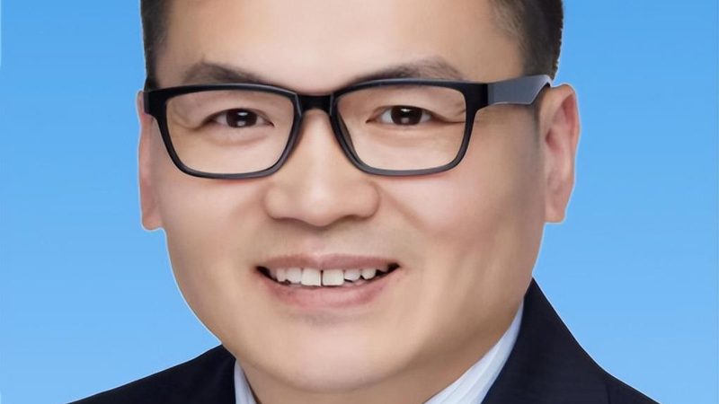 电子模块批发价格，如何精准把握性价比？**